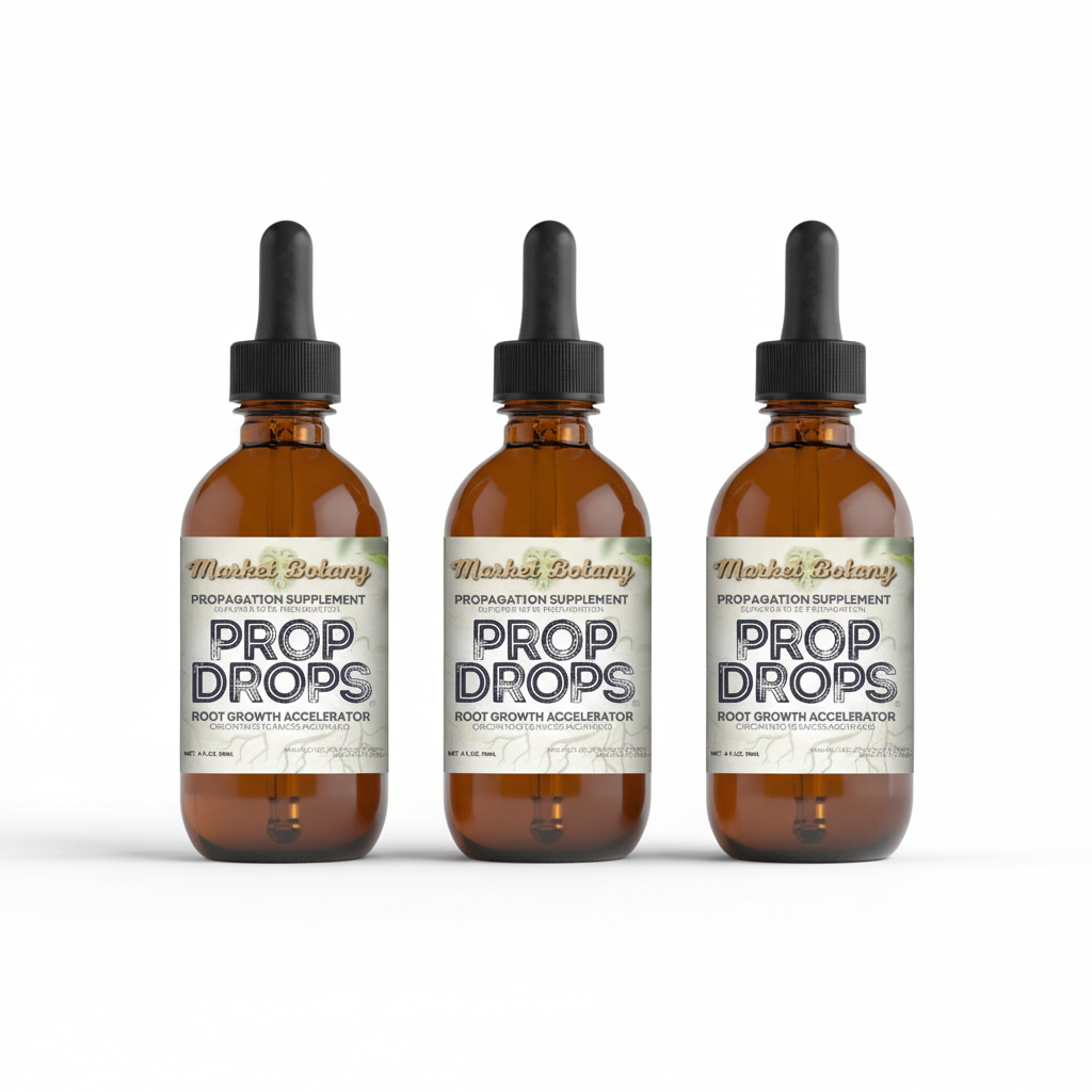 3-pack product image