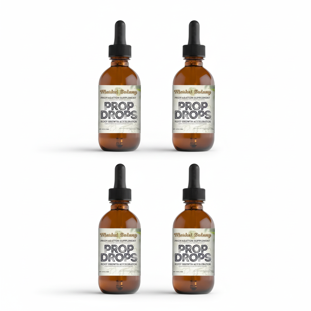 4-pack product image