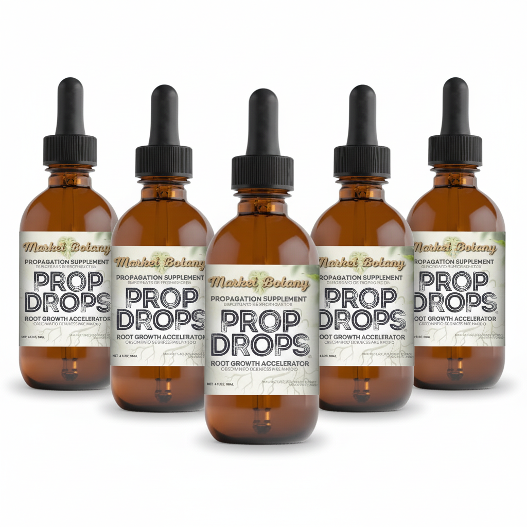 5-pack product image