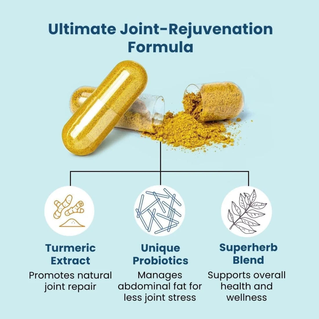 Provitalize Everyday Synbiotic Formula| 60 Capsules